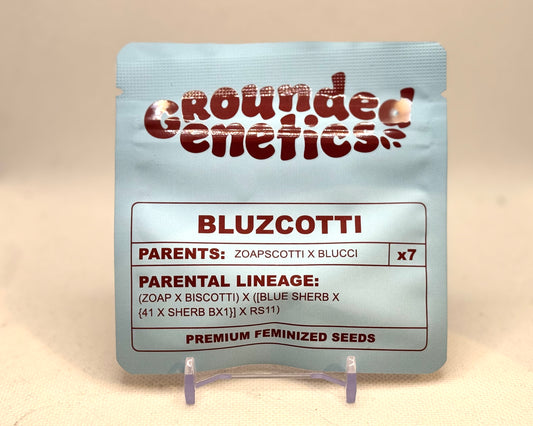 Grounded Genetics - Bluzcotti (7 Stk. | Feminisiert), Zoapscotti × Blucci