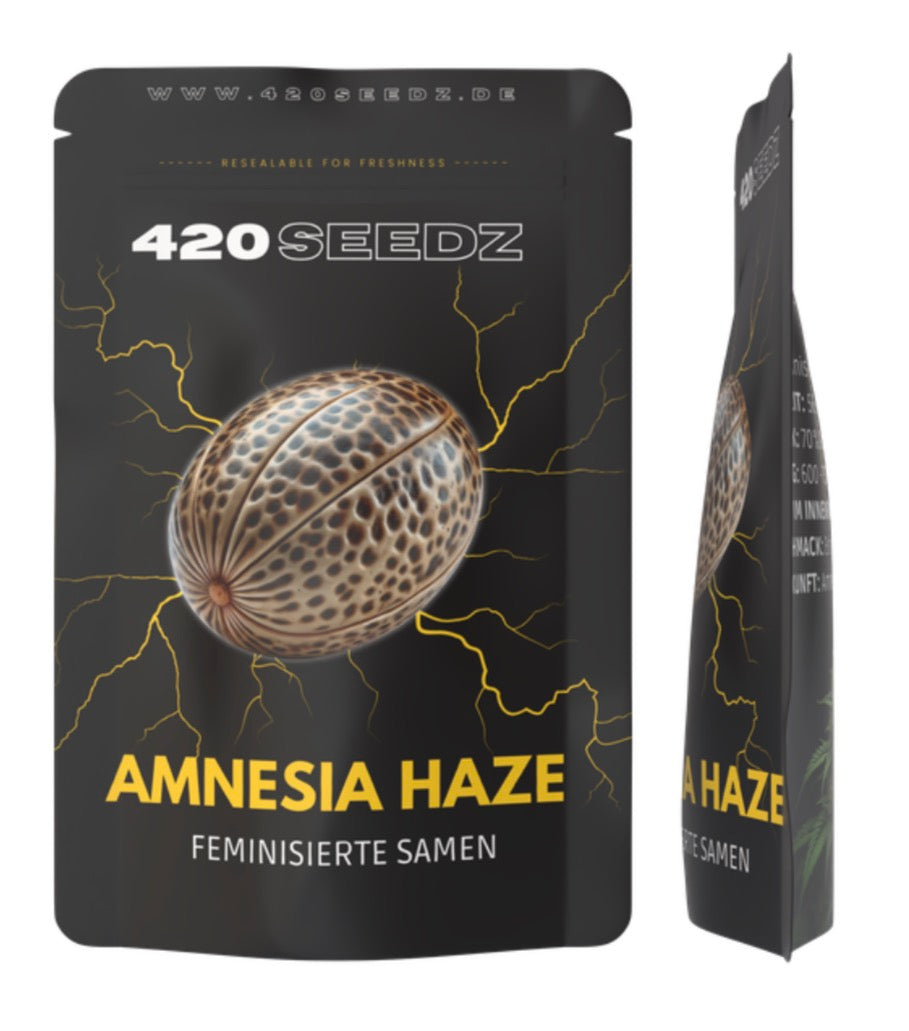 Amnesia Haze