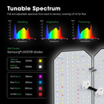 Bild in Galerie laden, Smart Grow Zelt Komplettset (80x80x160)