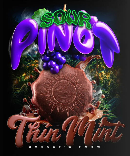 Thin Mint x Sour Pinot Auto Strain