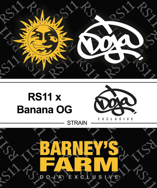 RS11 x Banana OG Strain, RS11 Strain x Banana OG