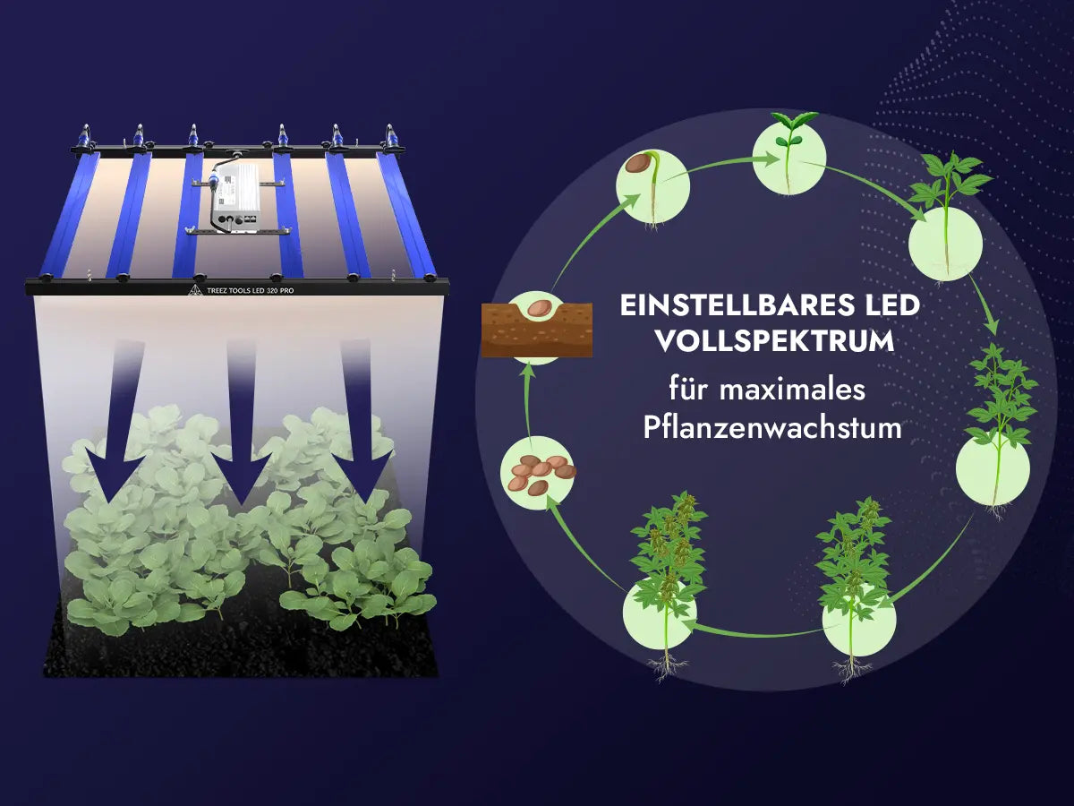Grow Light LED 320W PRO – Energieeffiziente Vollspektrum LED-Pflanzenlampe