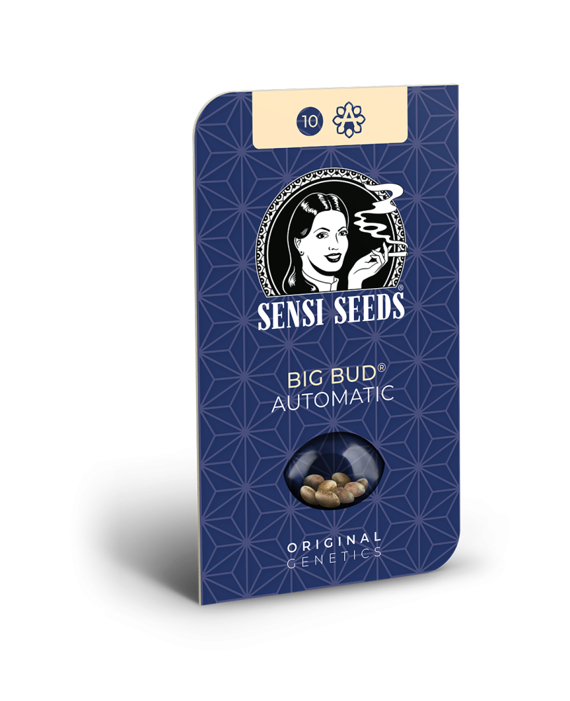 Sensi Seeds Big Bud Automatic Feminized, 3 pcs + 1