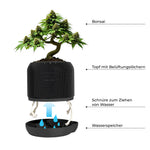 Bild in Galerie laden, CannaBonsai Grow Kit