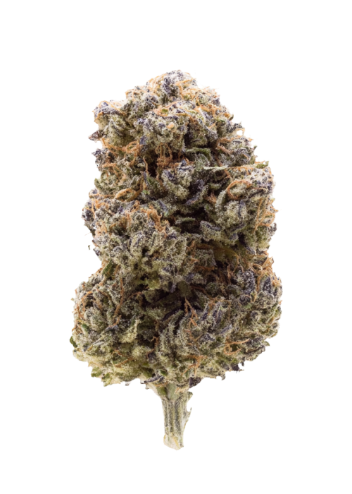 LEMONGRAS GAS – Feminisiert – 6 Samen, Gelonade × Duke’s Crumpets × (Skywalker OG × Cold Creek Kush × GG4 × 18 Coffins)