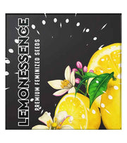 LEMONGRAS GAS – Feminisiert – 6 Samen, Gelonade × Duke’s Crumpets × (Skywalker OG × Cold Creek Kush × GG4 × 18 Coffins)