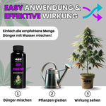 Bild in Galerie laden, Der Booster