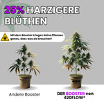 Bild in Galerie laden, Der Booster