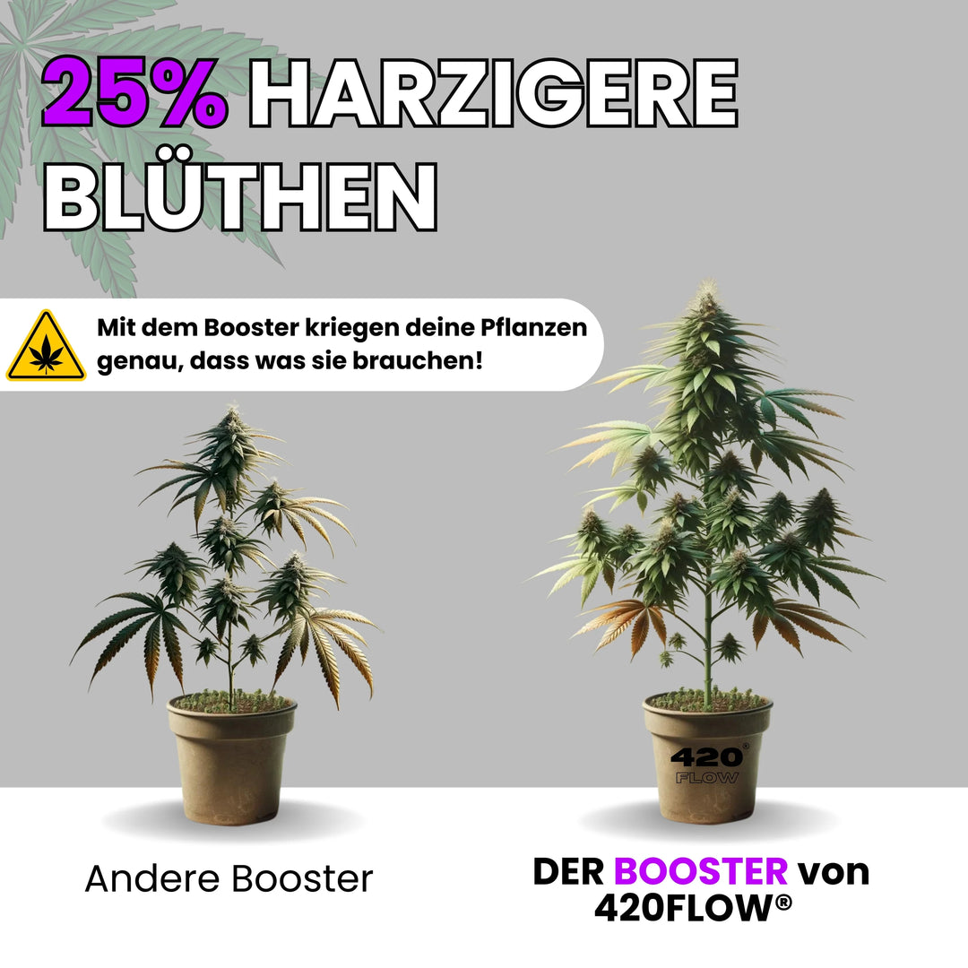 Der Booster