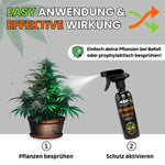 Bild in Galerie laden, Der Insektenschutz - Neemöl Spray
