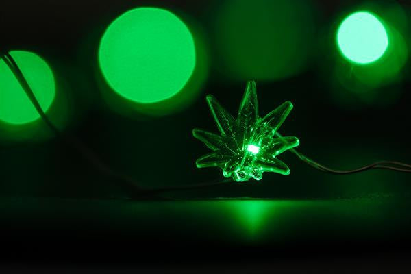 LED Drahtlichterketter "Hanf", grün