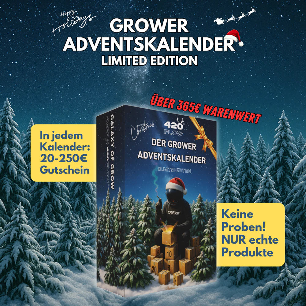 Der 420 Flow Adventskalender