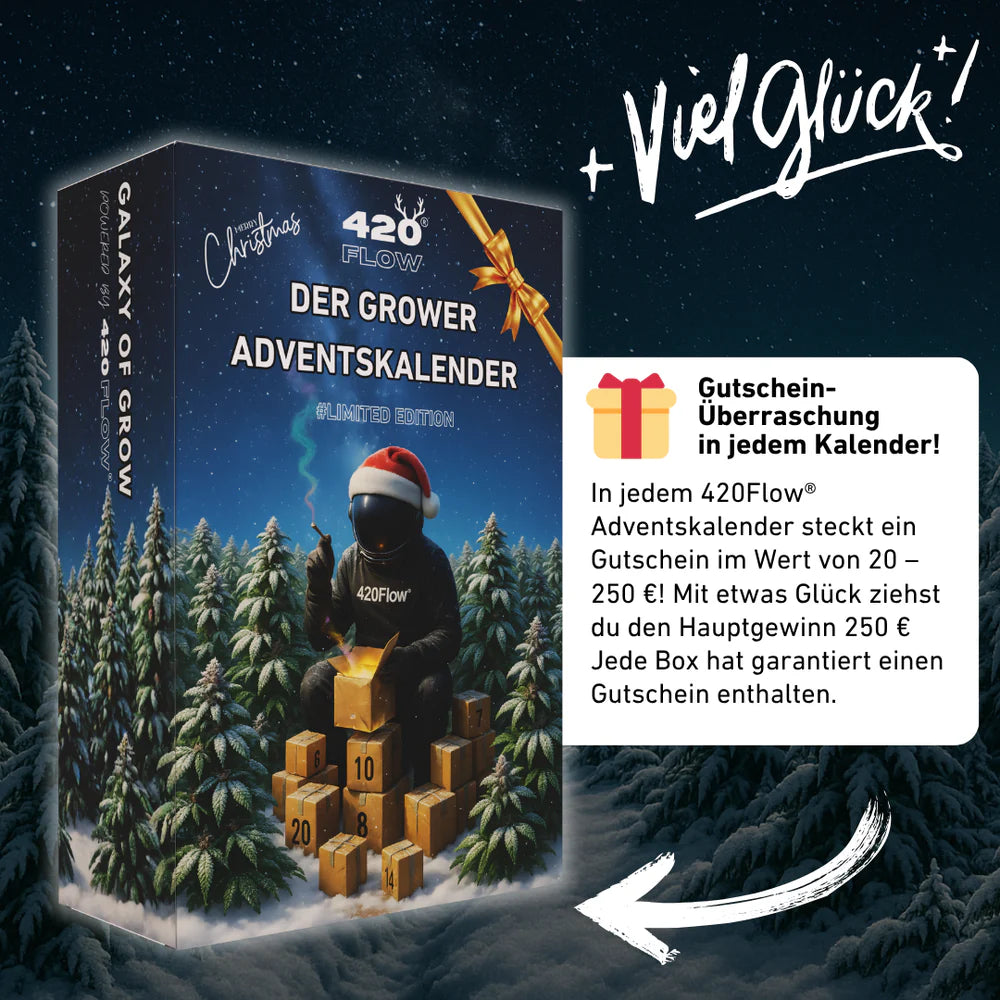 Der 420 Flow Adventskalender