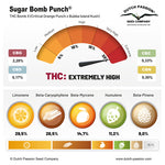 Bild in Galerie laden, Sugar Bomb Punch® – THC Bomb X (Critical Orange Punch x Bubba Island Kush)