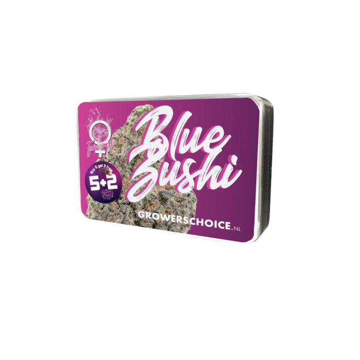 Blue Zushi Limited Edition, Kush Mintz x Zkittlez