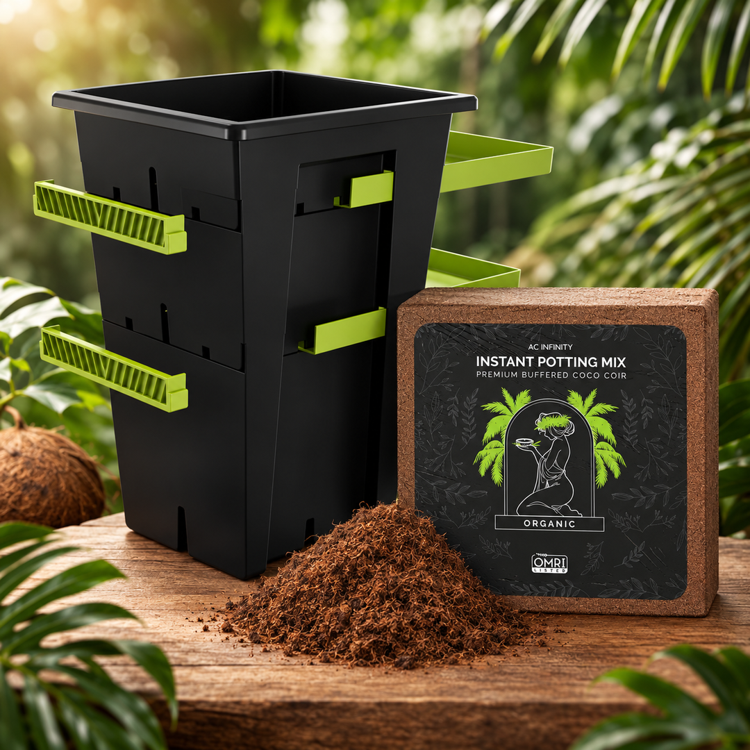 3er Topfset - Re-Plant® Set mit Instant Potting Mix inkl. Dünger, 3 Pflanzen