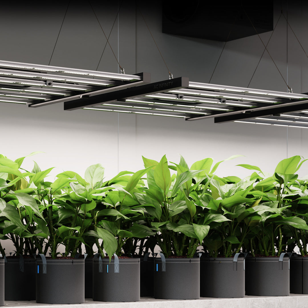 IONFRAME EVO4, Samsung LM301H EVO LED Grow Light, 300 W, 90 x 90 cm